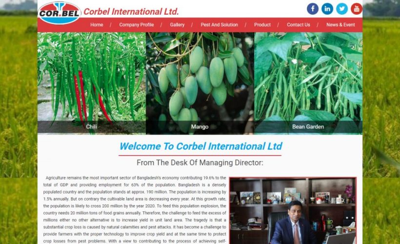Corbel International Ltd